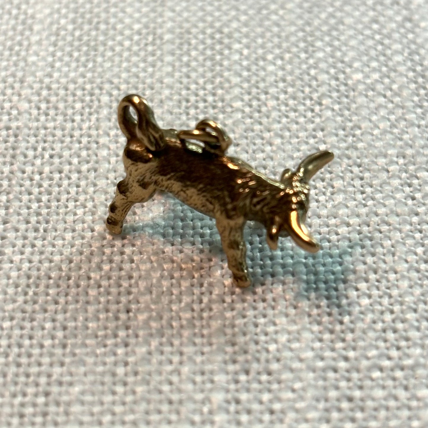 Bucking Bull Gold Charm